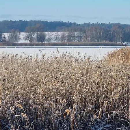Usedom Peene Idyll Wolgast