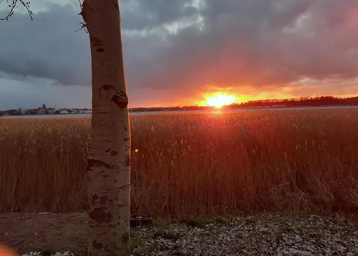 아파트 Usedom Peene Idyll