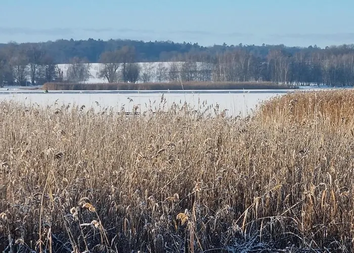 Usedom Peene Idyll Wolgast